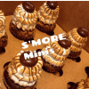 S'MORE MINIS